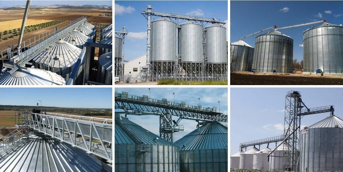 Transportador de grano de grano