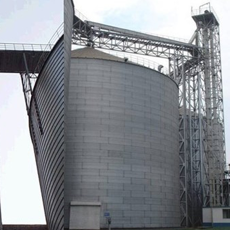 Elevador de cangilones con cadena de placa de piedra caliza resistente al desgaste